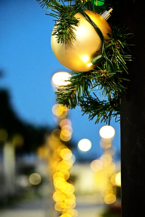 Fotos de stock gratuitas de adorno de navidad, ambiente navideño, bokeh