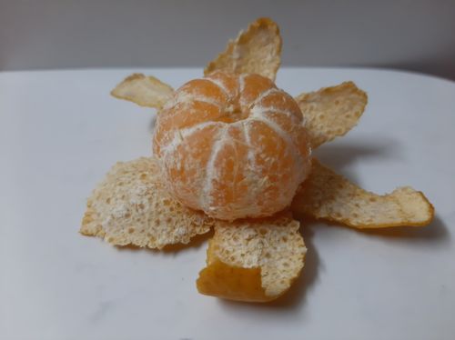 Free stock photo of lilliput, orange Stock Photo