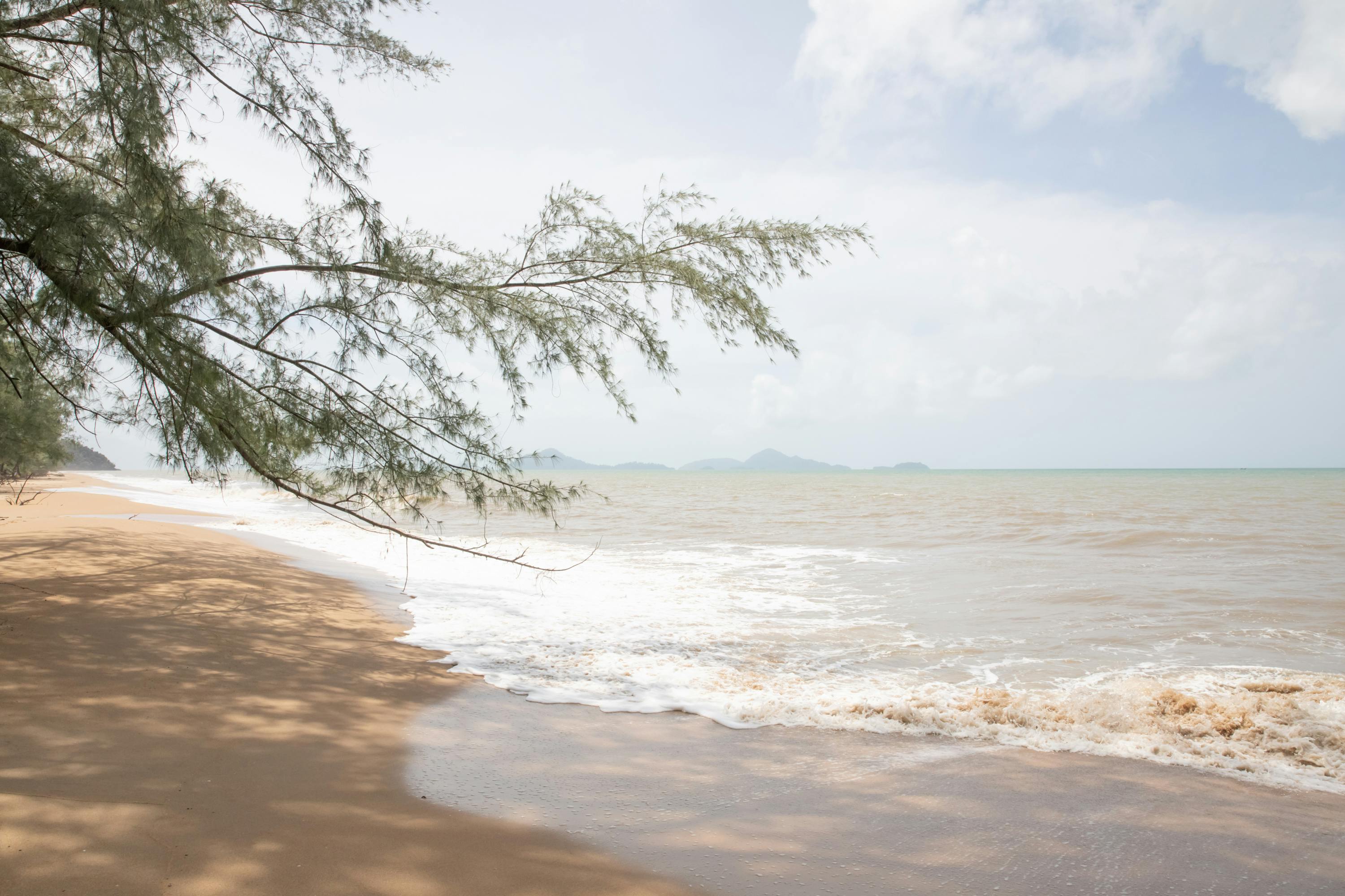 ocean wave rushing on shore