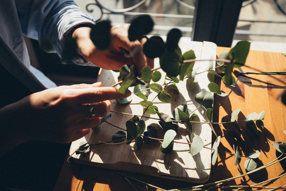 Eucalyptus Mantel Garland DIY home decor project — Hands arranging Eucalyptus leaves on a wooden board in sunlight, indoors.