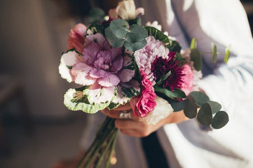 Free A Person Holding a Bouquet Stock Photo