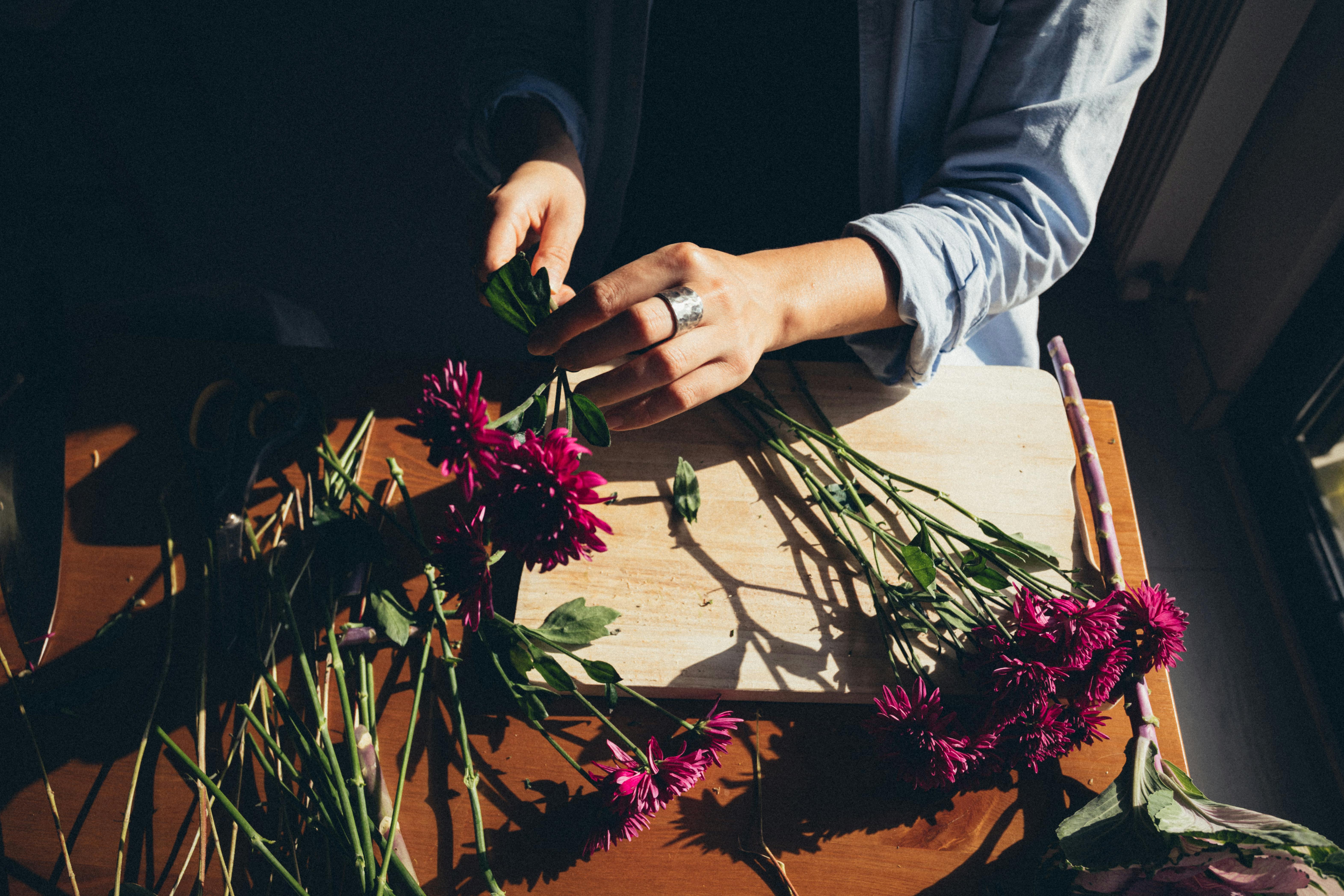 Top Eco-Friendly Hobbies to Try Today