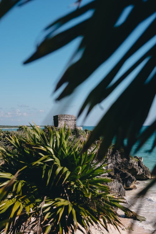 คลังภาพถ่ายฟรี ของ tulum, การชมทิวทัศน์, ชายหาด