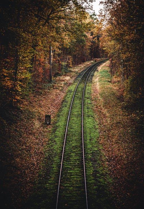 Kostenloses Stock Foto zu bahngleis, bäume, eisenbahn