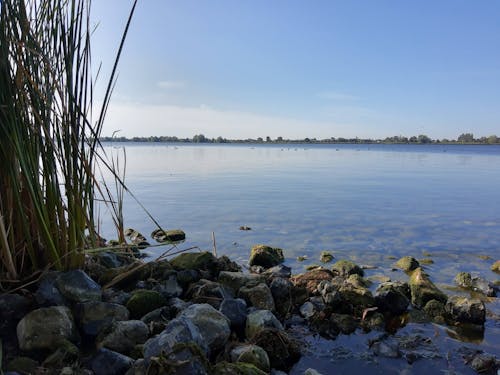 Ilmainen kuvapankkikuva tunnisteilla järvi, kaislat, kivet