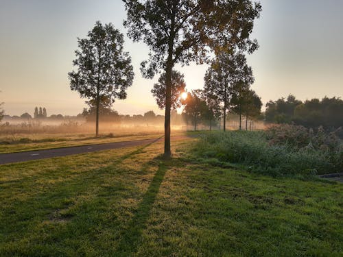 Ilmainen kuvapankkikuva tunnisteilla auringonnousu, polkupyörä-polku, puut