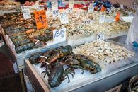 An Assorted Fresh Seafood on the Market