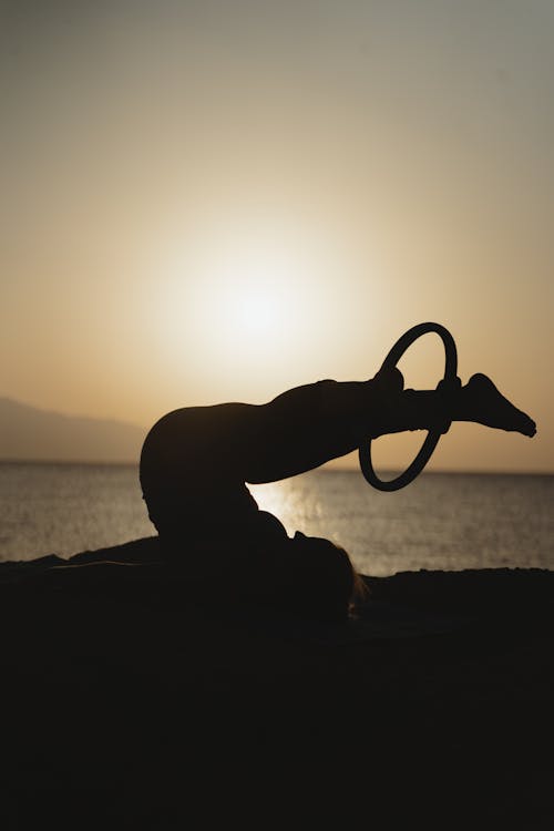 Silhouette of Animal on Beach during Sunset