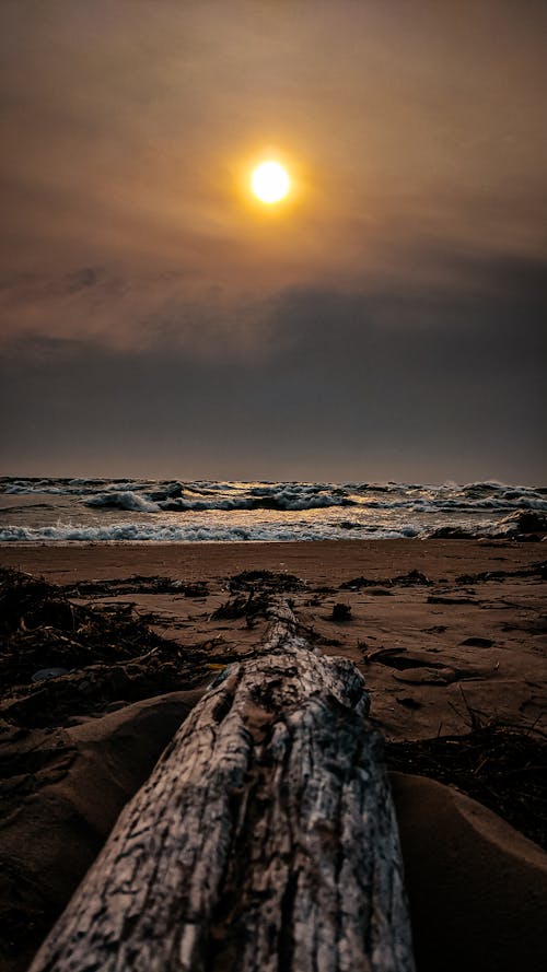 Free stock photo of beach, lake