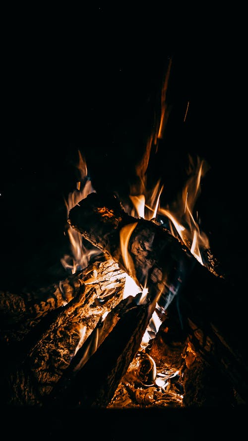 Close Up Shot of a Bonfire