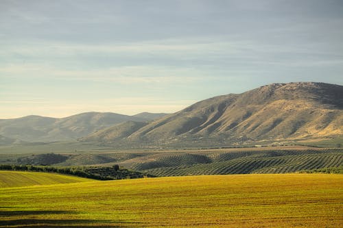 Scenic Landscape with Fields and Hills 
