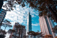 City with buildings and skyscrapers near trees