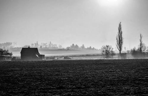 Grayscale Photo of House Near a Body of Water