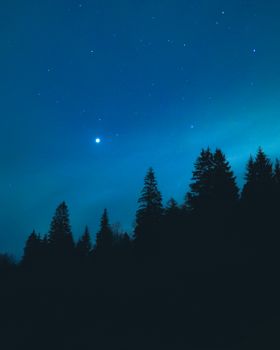 迷人的夜色中，星空与森林的轮廓交相辉映，凸显出自然之美