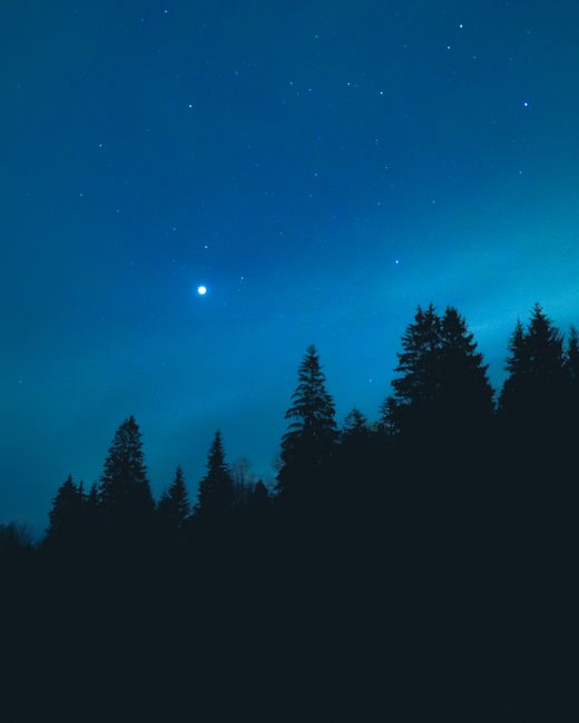 A captivating night scene with starry sky and forest silhouette, highlighting natural beauty.