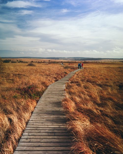 Free A wooden pathway leading through vast dried grasslands under a cloudy sky. Stock Photo