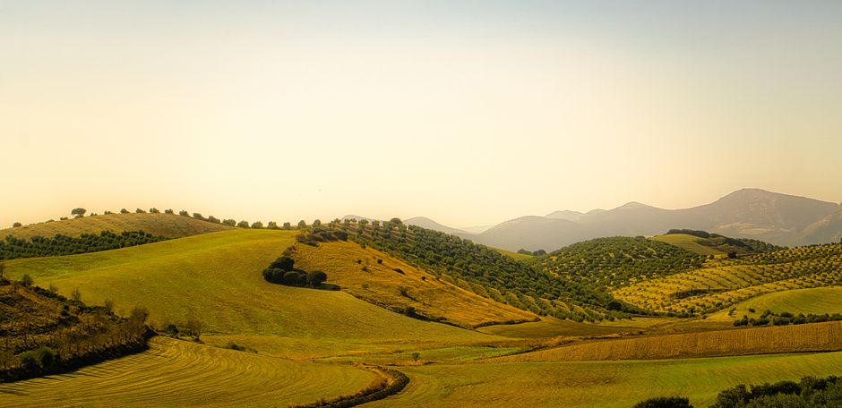 Vista escénica de colinas agrícolas onduladas bajo un cielo azul en el campo de España.