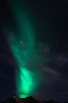 迷人的北极光在挪威上空照亮了星空