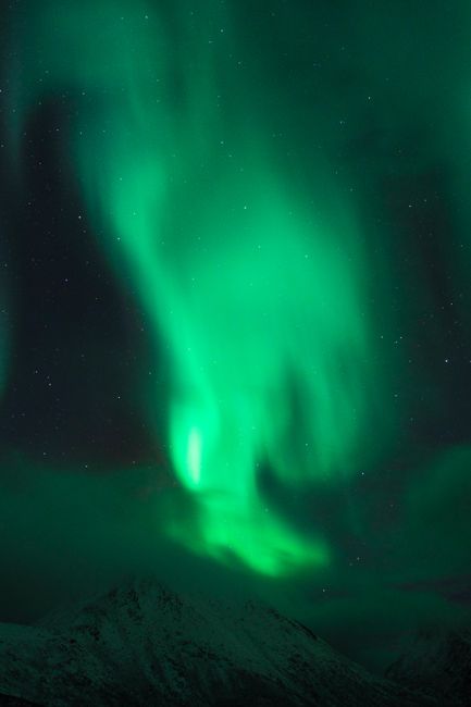 Stunning aurora borealis in green shades illuminating the night sky over rugged mountains.