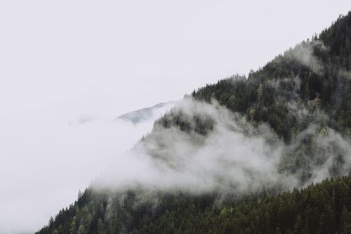 Free Serene mist over forested mountains in Trentino-Südtirol, Italy, with a tranquil atmosphere. Stock Photo