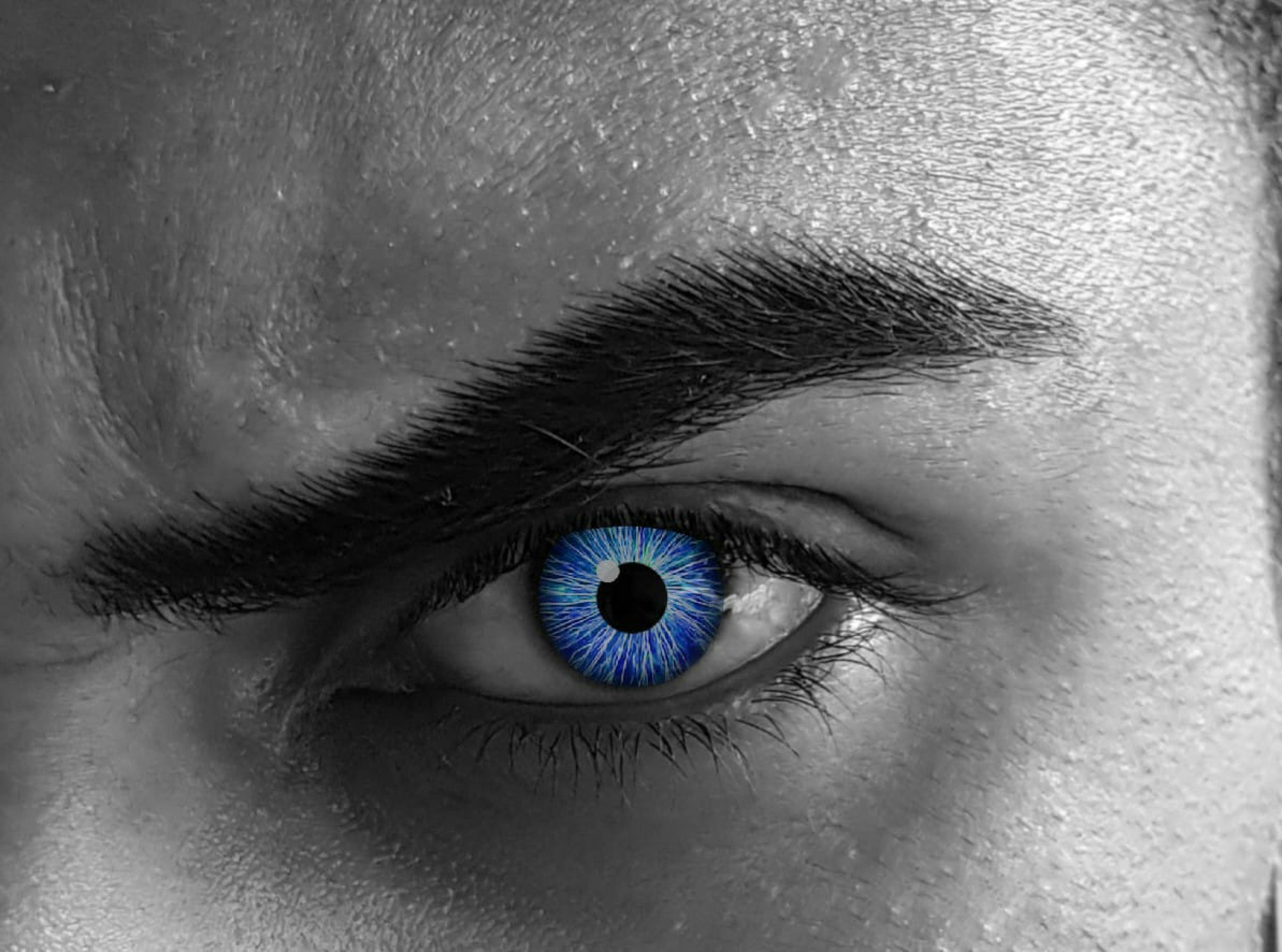 Free stock photo of black and blue, blue eye, pakistan