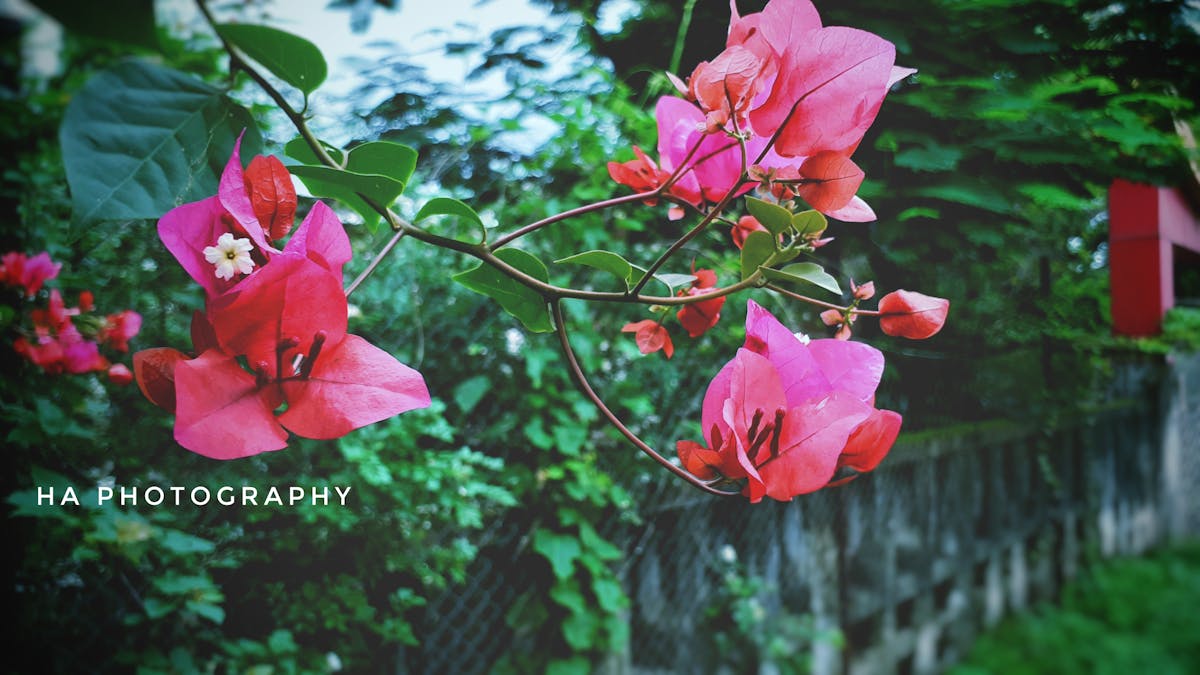 Person relaxing on a sofa with a book and a non-alcoholic drink