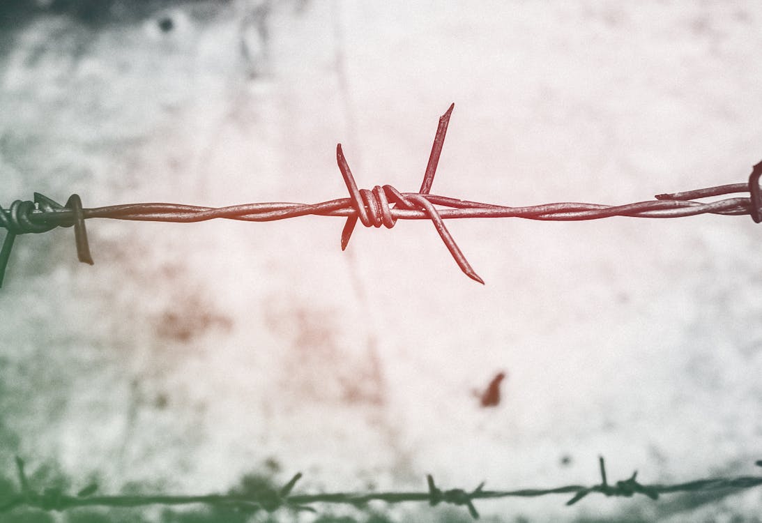 Free Shallow Focus Photography of Brown Barbed Wire Stock Photo