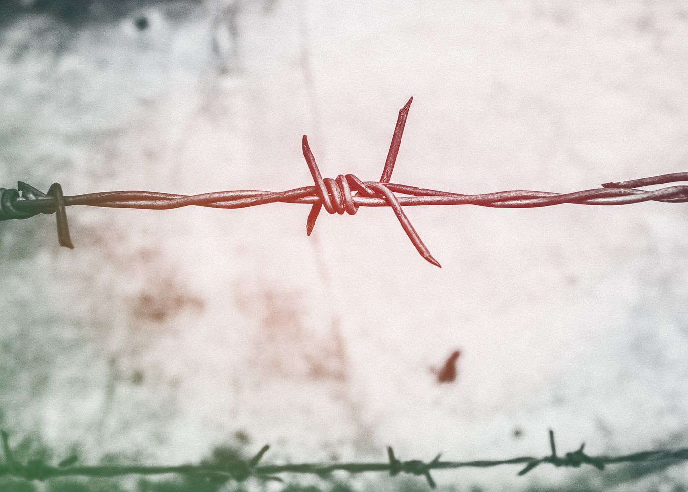 Solar electric fencing installed along the perimeter of a gated community