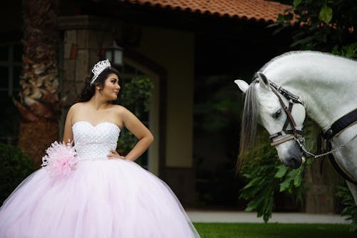 Free An Elegant Young Woman in a Gown Looking at a White Horse Stock Photo