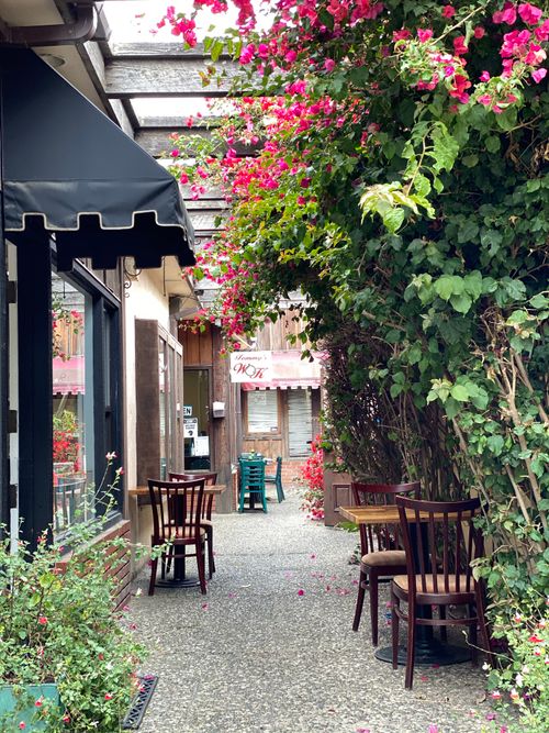 Free A quaint outdoor cafe setting adorned with vibrant pink bougainvillea along a narrow pathway. Stock Photo