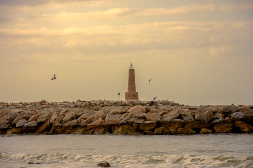 deniz feneri, gezinme, kayalar içeren Ücretsiz stok fotoğraf