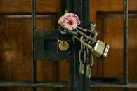 Red Roses on Black Wooden Door