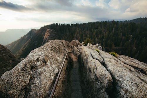 Immagine gratuita di foresta, montagna, morro