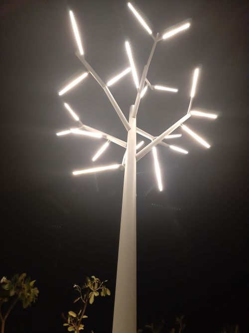 Free stock photo of lights, park, pole Stock Photo
