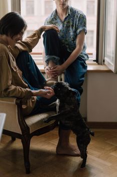 两名男子在室内与一只顽皮的法国斗牛犬安静地共处