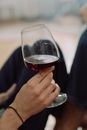 Person Holding Clear Wine Glass