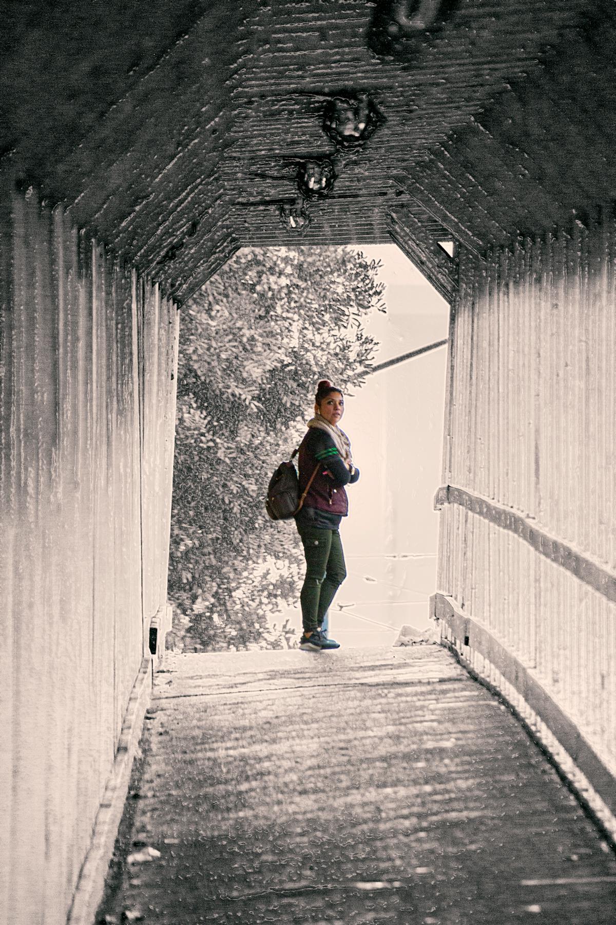 Colorful Mediterranean-style longevity bowl with grains, vegetables and beans