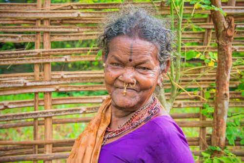 Free Portrait of an elderly Indian woman with nose piercings, smiling in traditional attire against a bamboo fence background. Stock Photo