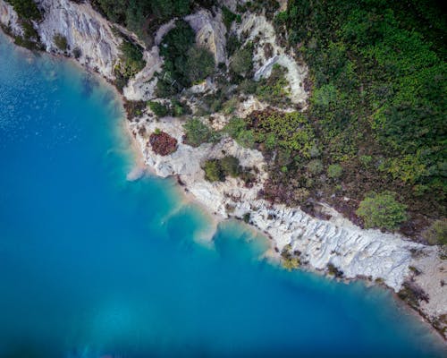 Landscape of green vegetation with cliff near seashore