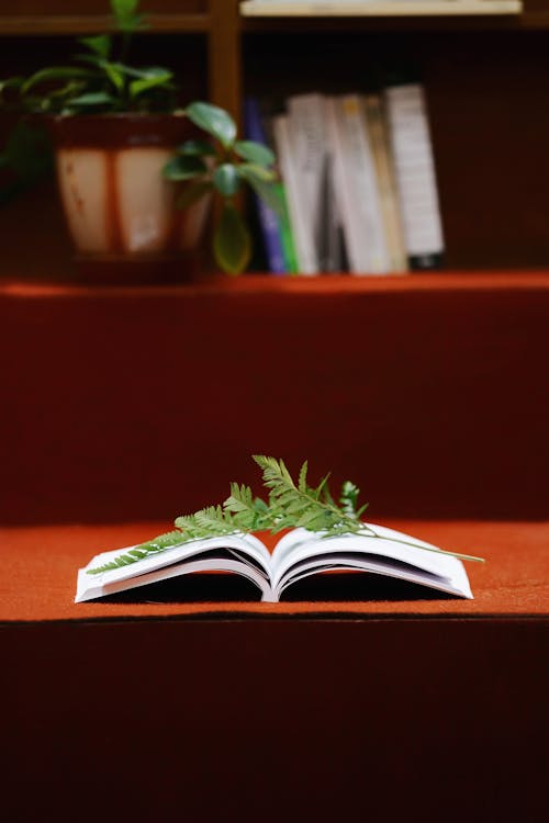 Leaf on Book on Desk