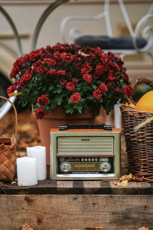 Retro Radio and a Bunch of Flowers 