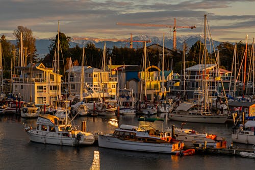 Δωρεάν στοκ φωτογραφιών με esquimalt, βάρκες, βικτώρια