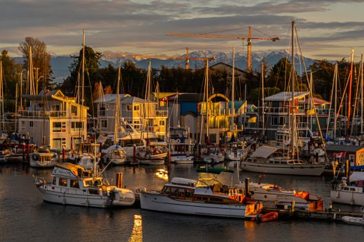 Capture of boats at Esquimalt marina with stunning sunset light, showcasing Canadian waterfront charm.
