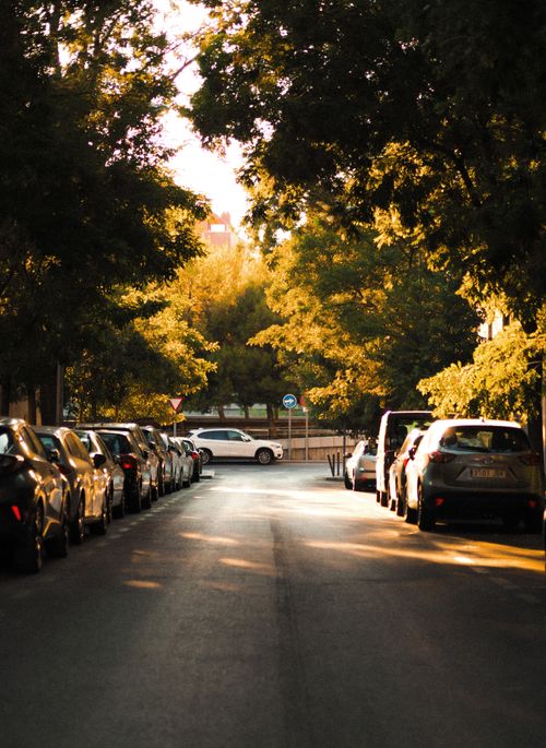 Free A tranquil residential street lined with parked cars under a canopy of trees at sunset. Stock Photo