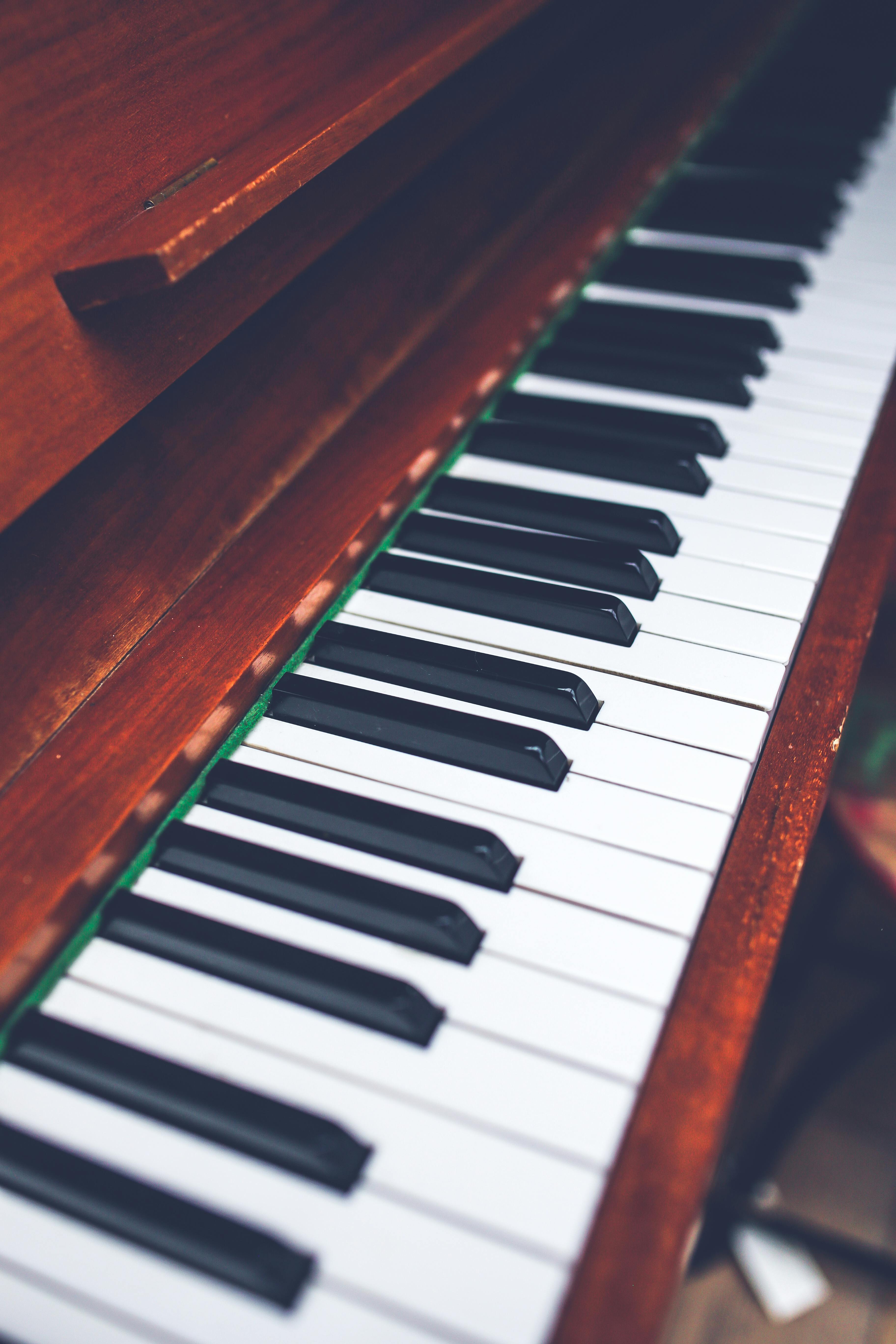 Free stock photo of compose hand music 