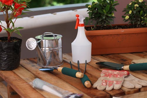 Free Gardening Tools on the Wooden Table Stock Photo