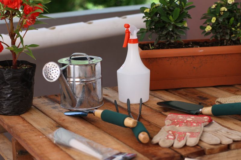 Outils et fournitures de jardinage posés sur une table en bois