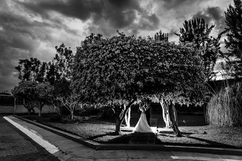 Gratis Immagine gratuita di bianco e nero, donna, foto del matrimonio Foto a disposizione