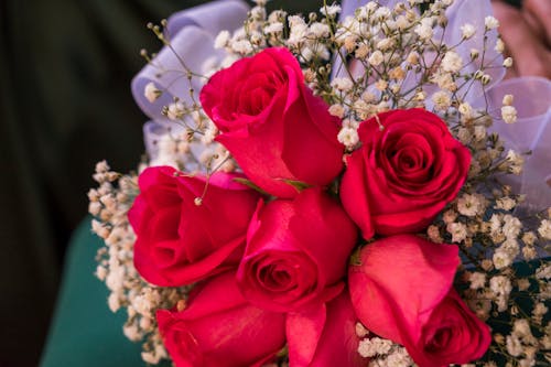 Free Close-up of a Red Rose Bouquet Stock Photo