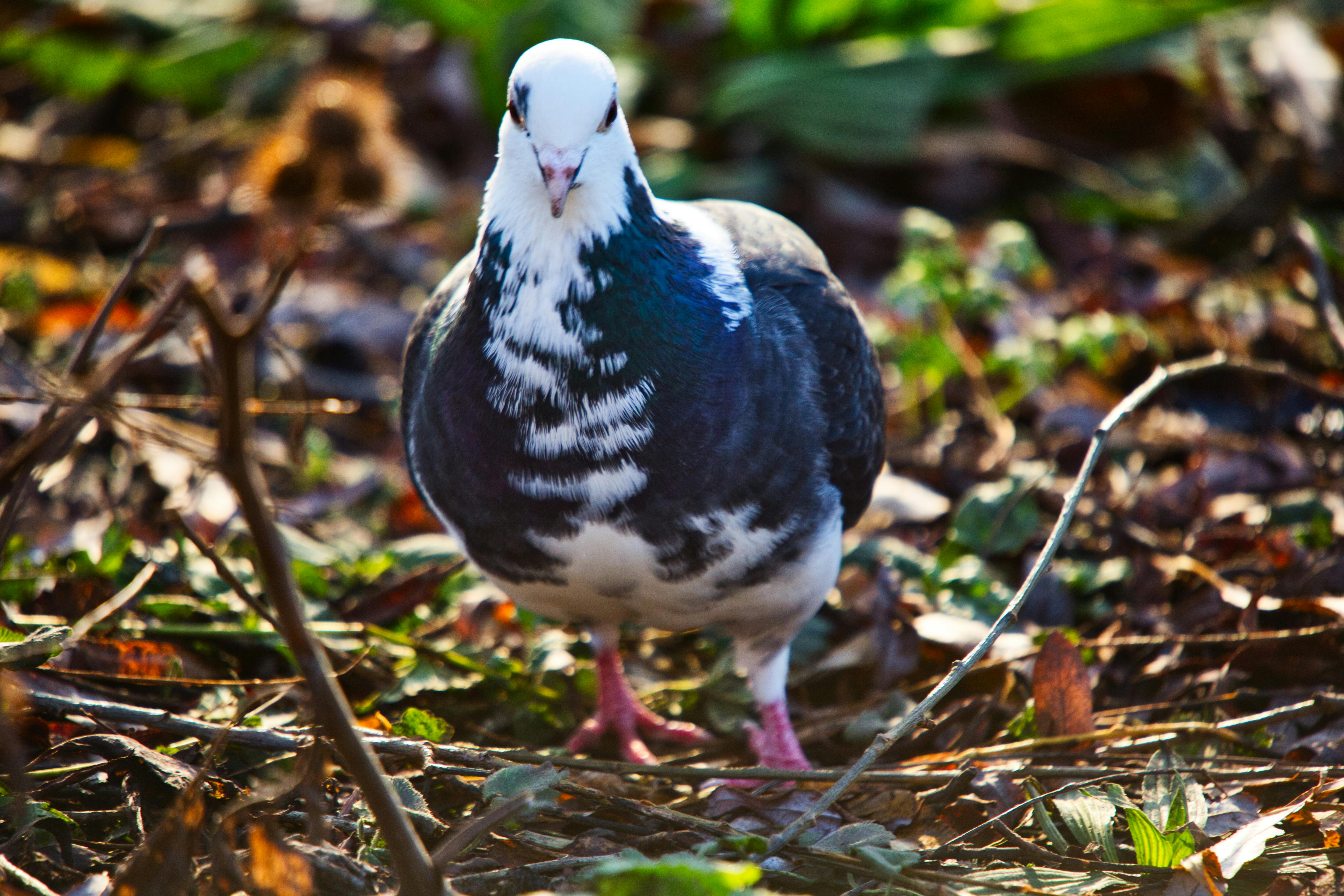 Regulatory documents and a laptop on a desk